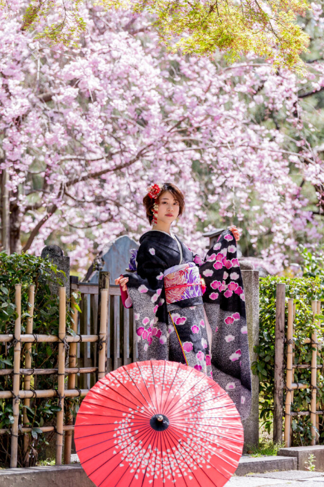 愛和服 祇園四条店の着物画像3